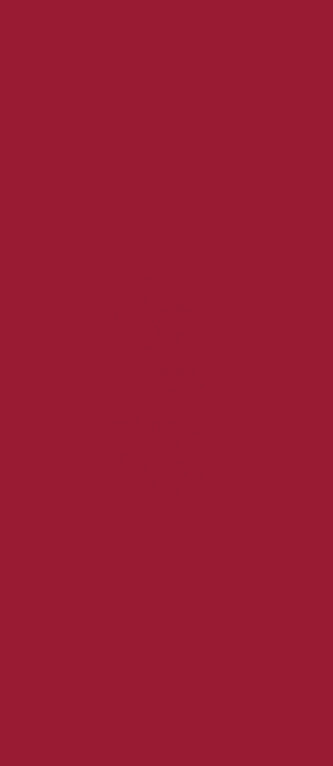 ROSSO RUBINO_19