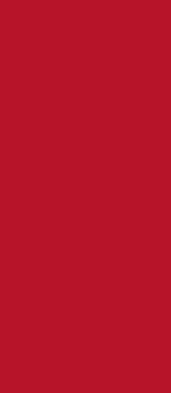 ROSSO FUOCO_21