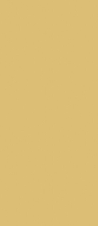 GIALLO CURRY_08