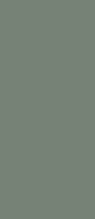 COLORTECH  VERDE SALVIA_12C