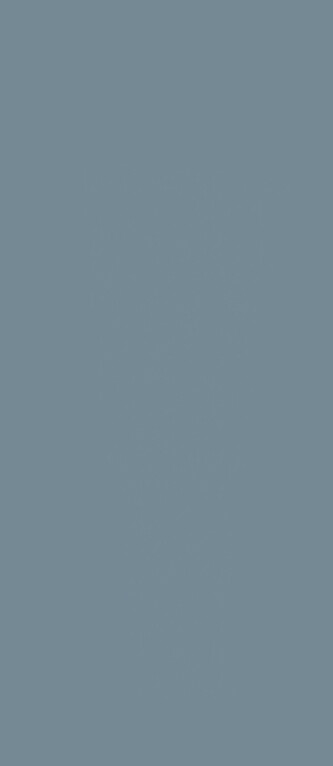 BLU AVIO_41
