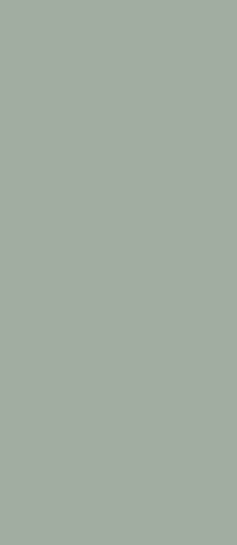 VERDE POLVERE_34